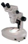 WESCO WS7